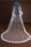 One-tier Lace Edge Lace Tulle Waist Veils with CV0378 - COCOMELODY