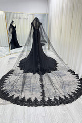 One-tier Lace Edge Tulle Chapel Veils with Appliques Beading CV0397 - COCOMELODY