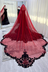 One-tier Lace Edge Tulle Cathedral Veils with Appliques CV0399 - COCOMELODY