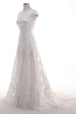 Sheath-Column Sweep Train Tulle Lace Wedding Dress CW2457 - COCOMELODY