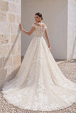Ball Gown Chapel Train Lace Tulle Wedding Dress CW3261