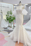 Trumpet-Mermaid Chapel Train Lace Tulle Wedding Dress CW3274 - COCOMELODY