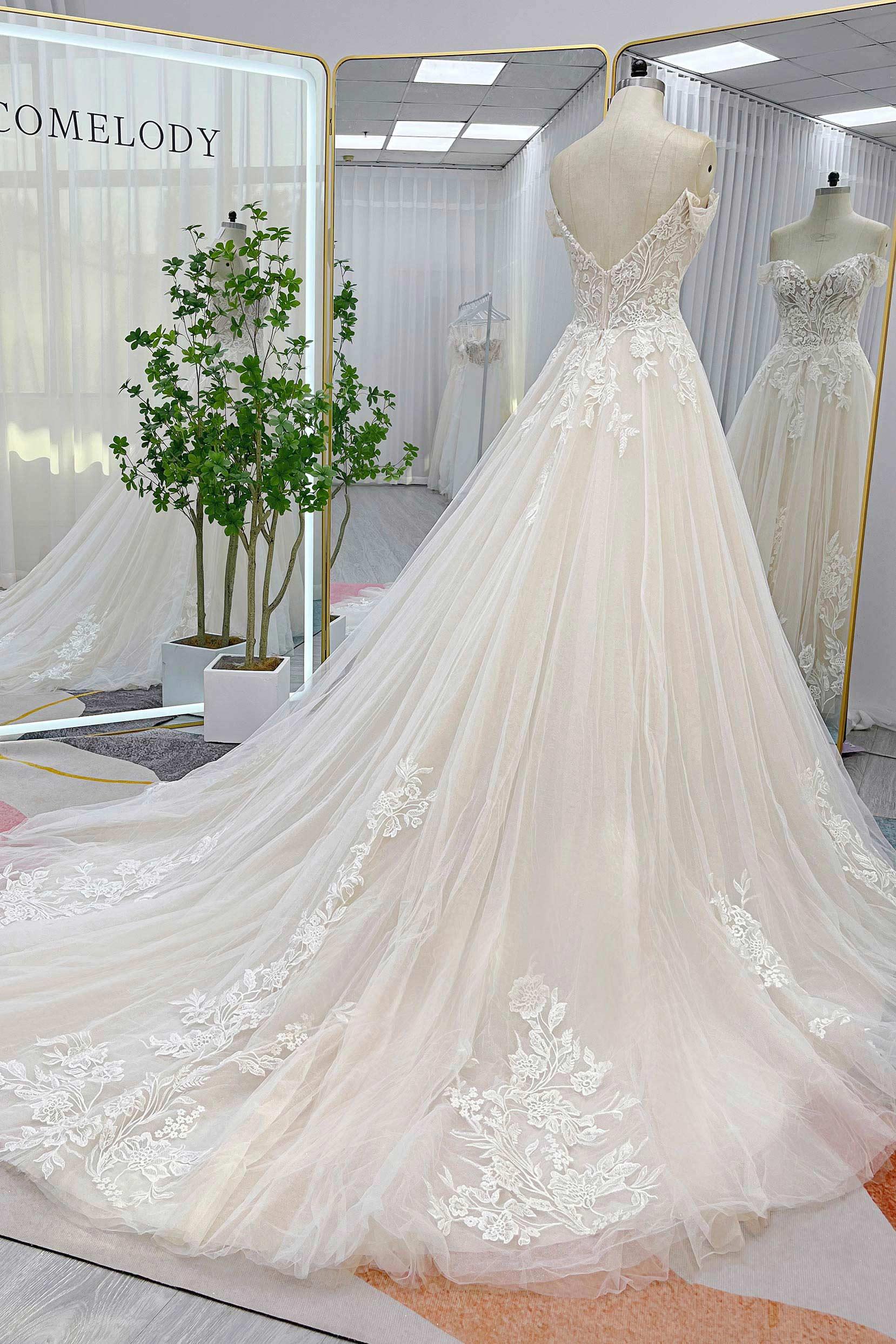 A-Line Chapel Train Lace Tulle Wedding Dress CW3278 - COCOMELODY