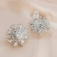 Light luxe zircon earrings 795399667147 - COCOMELODY