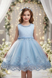 A-Line Round Neck Sleeveless Lace Short Tulle Knee Length Flower Girl Dresses 1029768430343