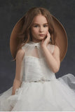A-Line Organza Tulle Sleeveless Floor Length Flower Girl Dresses 622042435493