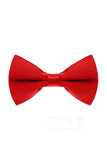 Men's Elastic Silk Like Satin Bow Ties CZ170016 - COCOMELODY