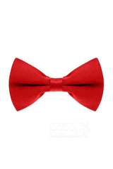 Men's Elastic Silk Like Satin Bow Ties CZ170016 - COCOMELODY