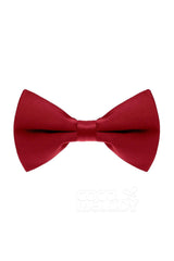 Men's Elastic Silk Like Satin Bow Ties CZ170016 - COCOMELODY