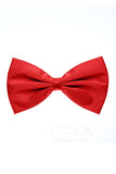 Men's Elastic Silk Like Satin Bow Ties CZ170017 - COCOMELODY