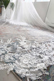 One-tier Lace Edge Lace Tulle Cathedral Veils with Appliques Beading CV0326 - COCOMELODY