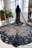 One-tier Lace Edge Lace Tulle Cathedral Veils with Appliques Beading CV0336 - COCOMELODY
