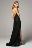 Sheath-Column Floor Length Sequined Dress CS0264 - COCOMELODY